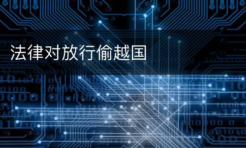 法律对放行偷越国