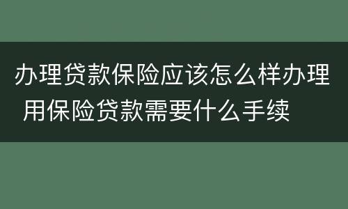 办理贷款保险应该怎么样办理 用保险贷款需要什么手续