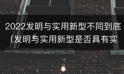 2022发明与实用新型不同到底（发明与实用新型是否具有实用性）