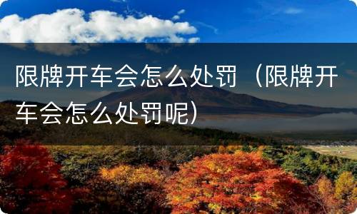 限牌开车会怎么处罚（限牌开车会怎么处罚呢）