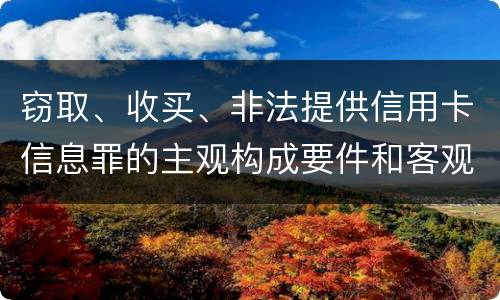 窃取、收买、非法提供信用卡信息罪的主观构成要件和客观构成要件