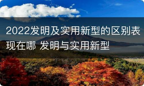 2022发明及实用新型的区别表现在哪 发明与实用新型