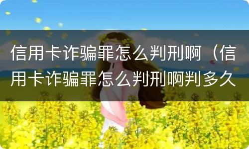 信用卡诈骗罪怎么判刑啊（信用卡诈骗罪怎么判刑啊判多久）