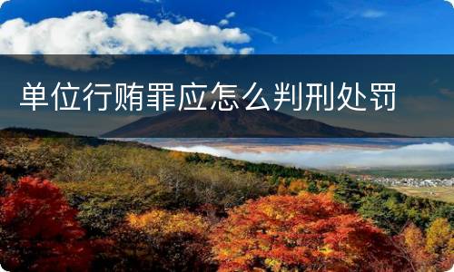 单位行贿罪应怎么判刑处罚