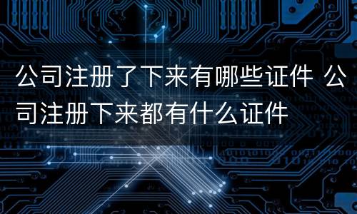 公司注册了下来有哪些证件 公司注册下来都有什么证件