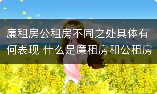 廉租房公租房不同之处具体有何表现 什么是廉租房和公租房两个有什么特点