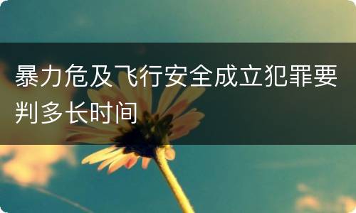 暴力危及飞行安全成立犯罪要判多长时间