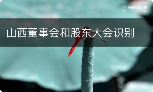 山西董事会和股东大会识别