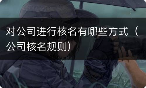 对公司进行核名有哪些方式（公司核名规则）