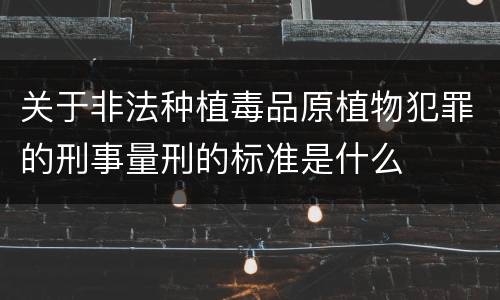 关于非法种植毒品原植物犯罪的刑事量刑的标准是什么