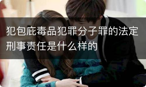 犯包庇毒品犯罪分子罪的法定刑事责任是什么样的