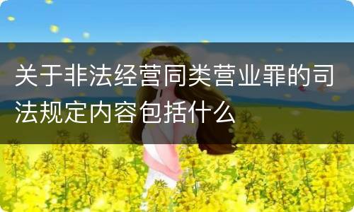 关于非法经营同类营业罪的司法规定内容包括什么