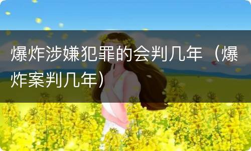 爆炸涉嫌犯罪的会判几年（爆炸案判几年）