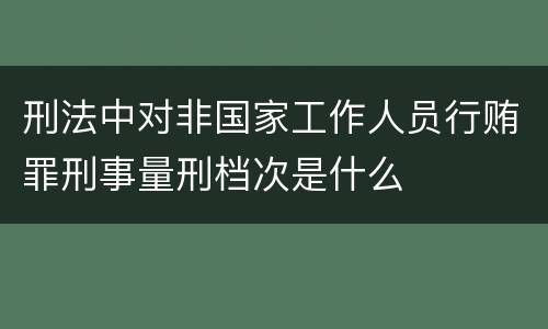 刑法中对非国家工作人员行贿罪刑事量刑档次是什么