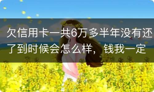 欠信用卡一共6万多半年没有还了到时候会怎么样，钱我一定慢慢找来还