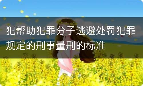 犯帮助犯罪分子逃避处罚犯罪规定的刑事量刑的标准