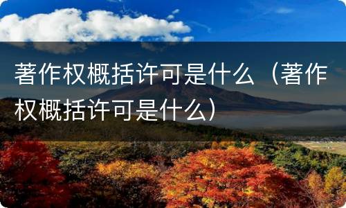 著作权概括许可是什么（著作权概括许可是什么）