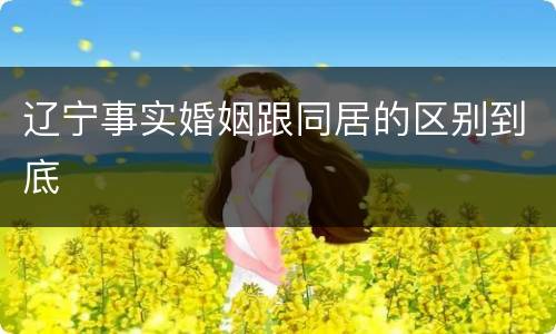 辽宁事实婚姻跟同居的区别到底