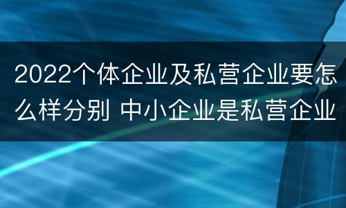 2022个体企业及私营企业要怎么样分别 中小企业是私营企业吗