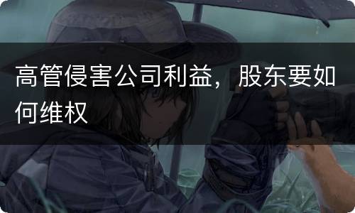 高管侵害公司利益，股东要如何维权