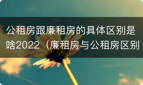 公租房跟廉租房的具体区别是啥2022（廉租房与公租房区别）