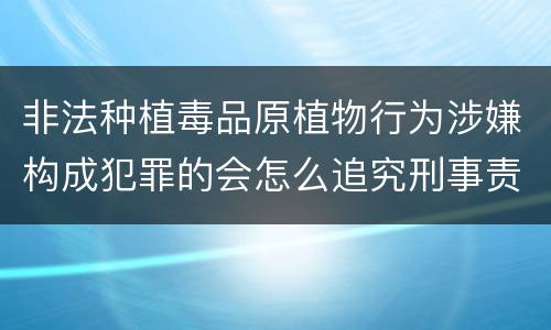 非法种植毒品原植物行为涉嫌构成犯罪的会怎么追究刑事责任