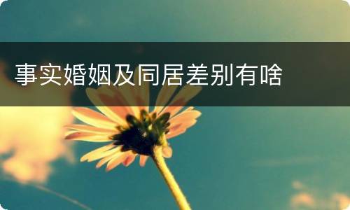 事实婚姻及同居差别有啥