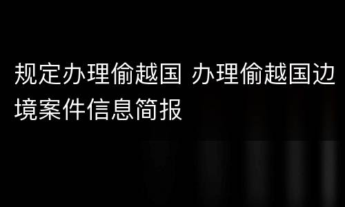 规定办理偷越国 办理偷越国边境案件信息简报