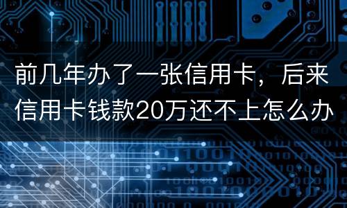前几年办了一张信用卡，后来信用卡钱款20万还不上怎么办。