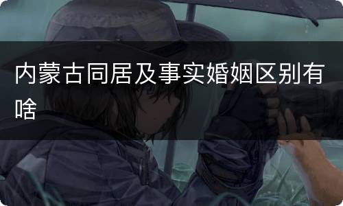 内蒙古同居及事实婚姻区别有啥