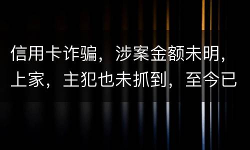 信用卡诈骗，涉案金额未明，上家，主犯也未抓到，至今已有5天，请问可以申请取保吗