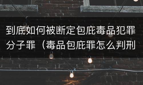 到底如何被断定包庇毒品犯罪分子罪（毒品包庇罪怎么判刑）
