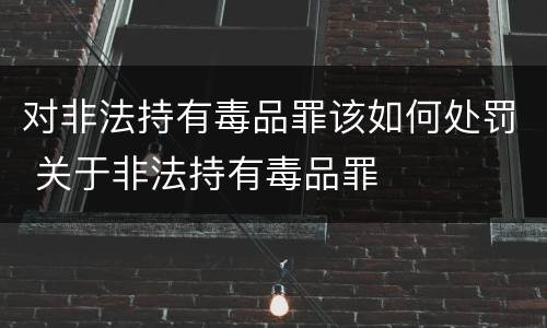 对非法持有毒品罪该如何处罚 关于非法持有毒品罪