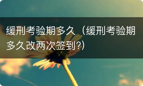 缓刑考验期多久（缓刑考验期多久改两次签到?）