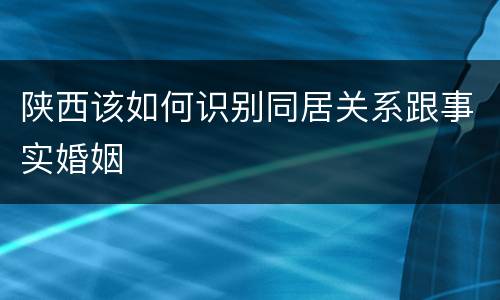 陕西该如何识别同居关系跟事实婚姻