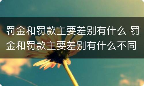 罚金和罚款主要差别有什么 罚金和罚款主要差别有什么不同