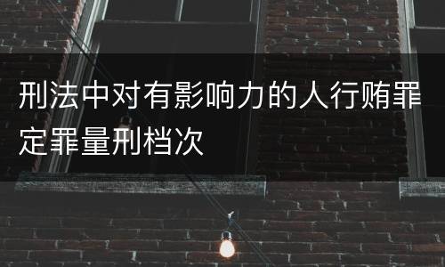 刑法中对有影响力的人行贿罪定罪量刑档次
