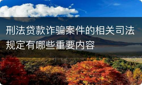 刑法贷款诈骗案件的相关司法规定有哪些重要内容