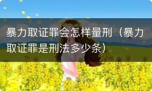 暴力取证罪会怎样量刑（暴力取证罪是刑法多少条）