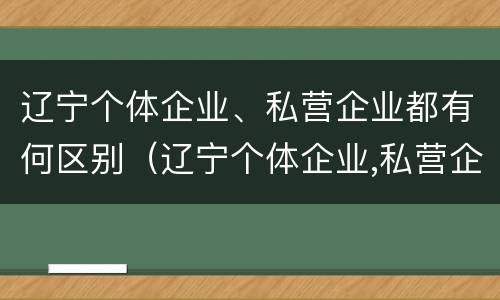 辽宁个体企业、私营企业都有何区别（辽宁个体企业,私营企业都有何区别呢）