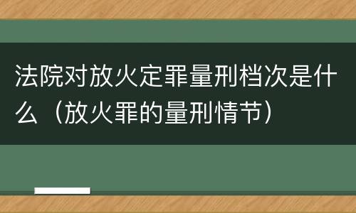 法院对放火定罪量刑档次是什么（放火罪的量刑情节）