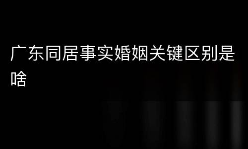 广东同居事实婚姻关键区别是啥