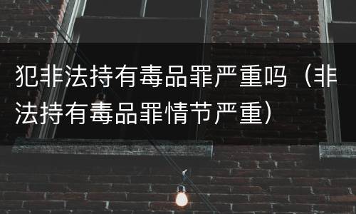 犯非法持有毒品罪严重吗（非法持有毒品罪情节严重）
