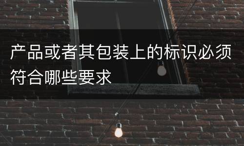 产品或者其包装上的标识必须符合哪些要求
