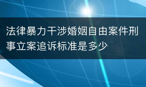 法律暴力干涉婚姻自由案件刑事立案追诉标准是多少