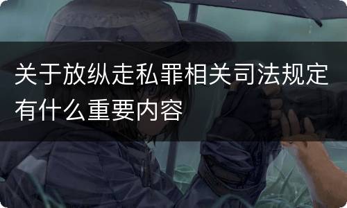 关于放纵走私罪相关司法规定有什么重要内容