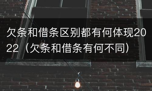 欠条和借条区别都有何体现2022（欠条和借条有何不同）