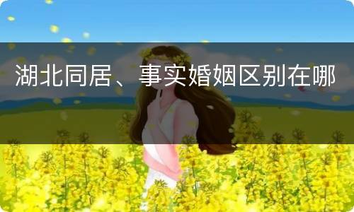 湖北同居、事实婚姻区别在哪
