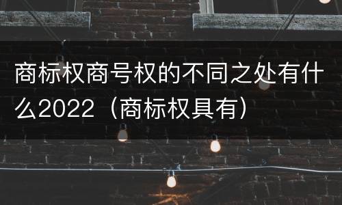 商标权商号权的不同之处有什么2022（商标权具有）