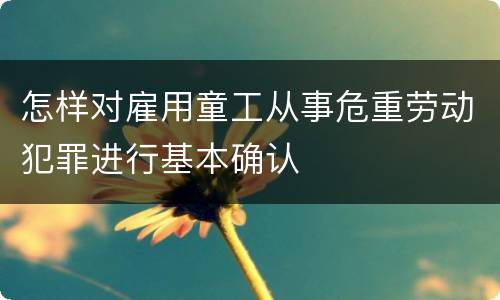 怎样对雇用童工从事危重劳动犯罪进行基本确认